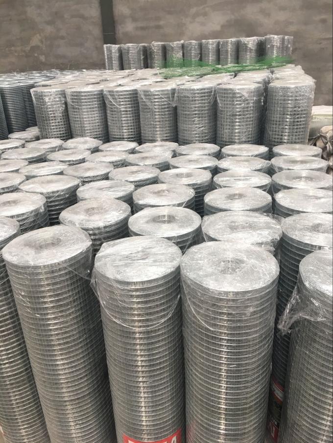 Low Carbon Steel Wire Mesh 0.53mm3mm Welded Wire Mesh Rolls For