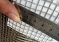 Stainless 6x6mm Welded Steel Wire Mesh Diameter 23 Gauge Hardware Cloth 1/4"X1/4"