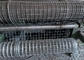 Galvanized Welded Wire Mesh 1.5mm-3.0mm